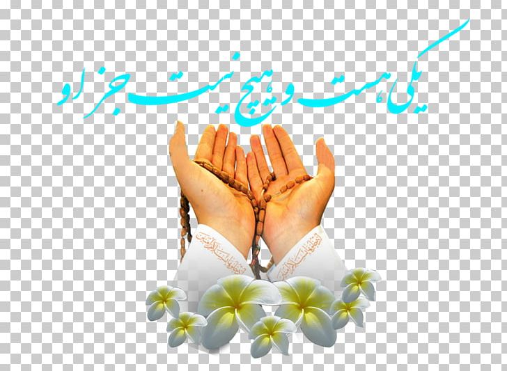 صلاة الغفيلة Maghrib Prayer Salah قرآن مجيد PNG, Clipart, Computer Wallpaper, Dhikr, Dua, Finger, Flower Free PNG Download