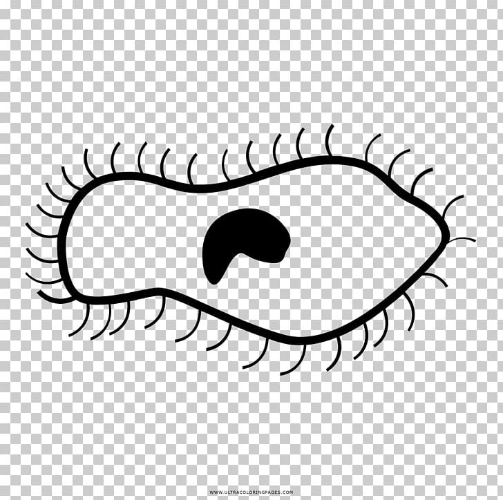 Drawing Cell Black And White Line Art PNG, Clipart, Artwork, Bacteria, Biology, Black And White, Cartoon Free PNG Download