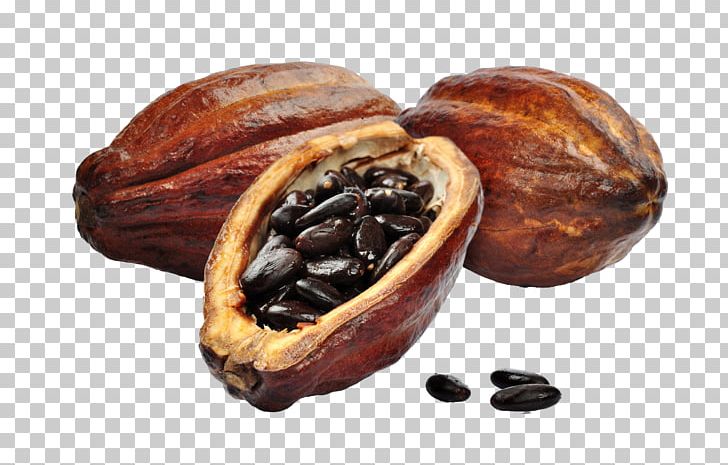Hot Chocolate Cacao Tree Cocoa Bean Cocoa Solids PNG, Clipart, Cacao, Chocolate, Chocolate Bar, Chocolate Spread, Cocoa Bean Free PNG Download