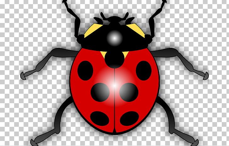 Ladybird Drawing PNG, Clipart, Arthropod, Beetle, Blog, Computer Icons, Drawing Free PNG Download