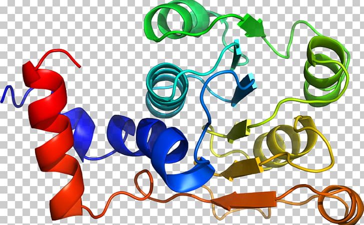 Product Design Graphic Design Organism PNG, Clipart, Area, Artwork, Graphic Design, Line, Organism Free PNG Download