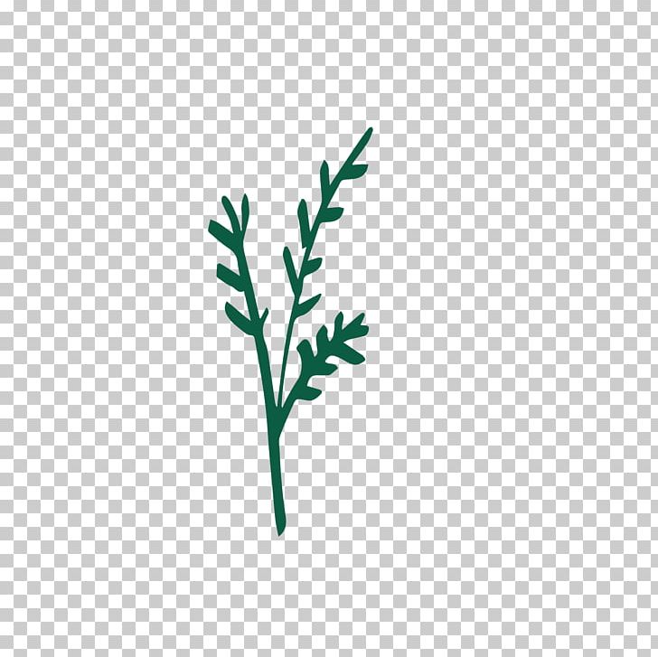 Twig Logo Plant Stem Leaf Font PNG, Clipart, Branch, Grass, Leaf, Line, Logo Free PNG Download