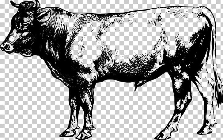 Beef Cattle Farm Livestock PNG, Clipart, Beef, Beef Cattle, Black And White, Bull, Cattle Free PNG Download