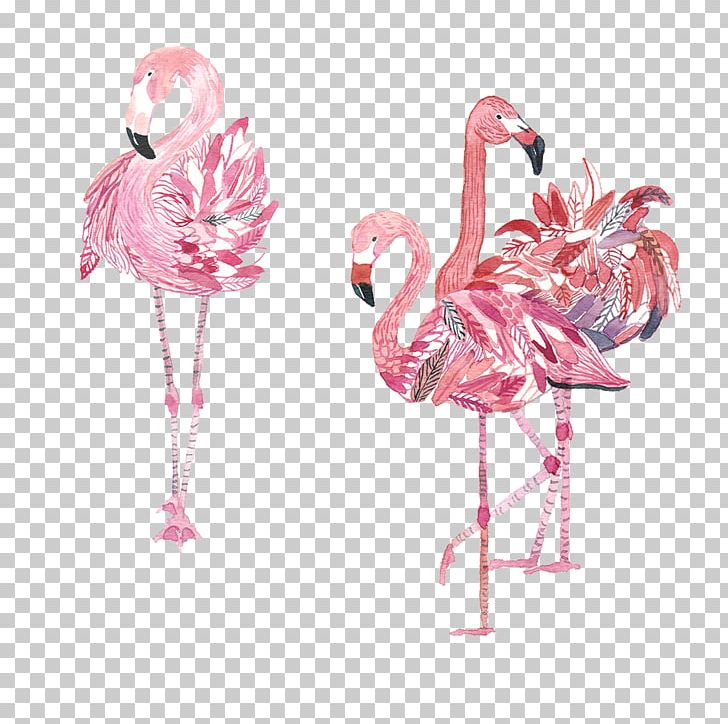 Bird Flamingos Amazon.com Crane PNG, Clipart, Amazon.com, Bird, Birds, Canvas, Cartoon Free PNG Download