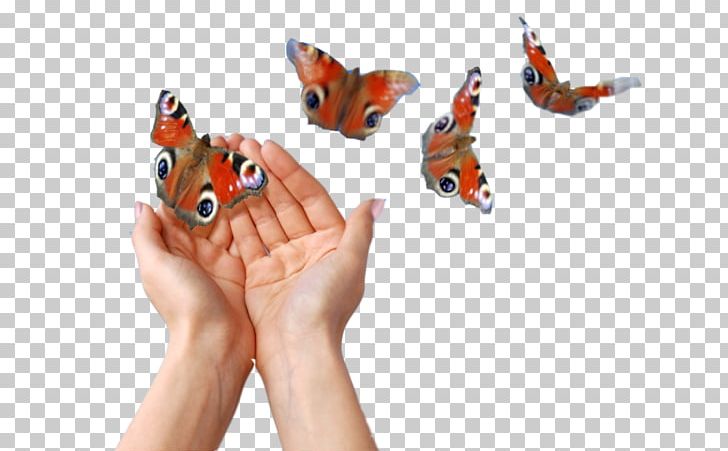 Butterfly Money Stock Photography PNG, Clipart, Business, Butterfly, Butterfly Gardening, Company, Finger Free PNG Download