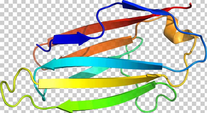 Goggles Line PNG, Clipart, Area, Art, B 1, D 4, Eyewear Free PNG Download