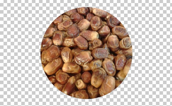 Hazelnut Commodity PNG, Clipart, Commodity, Hazelnut, Ingredient, Nut, Nuts Seeds Free PNG Download