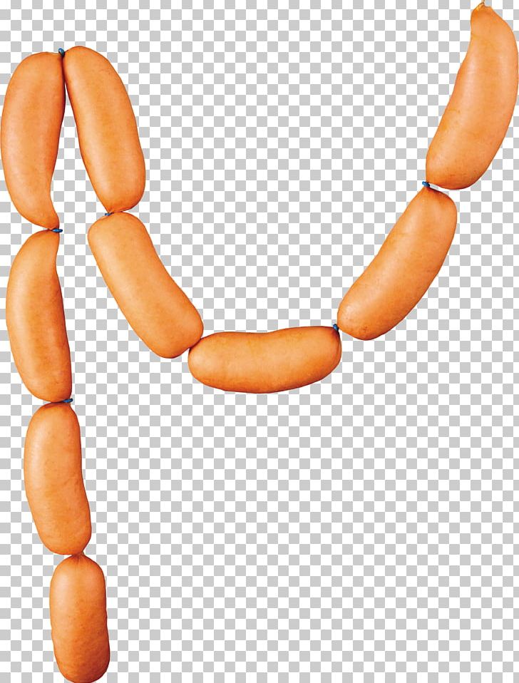 Hot Dog Breakfast Sausage Bockwurst Sausage Sandwich Knackwurst PNG, Clipart, Arm, Bockwurst, Bologna Sausage, Breakfast Sausage, Cervelat Free PNG Download