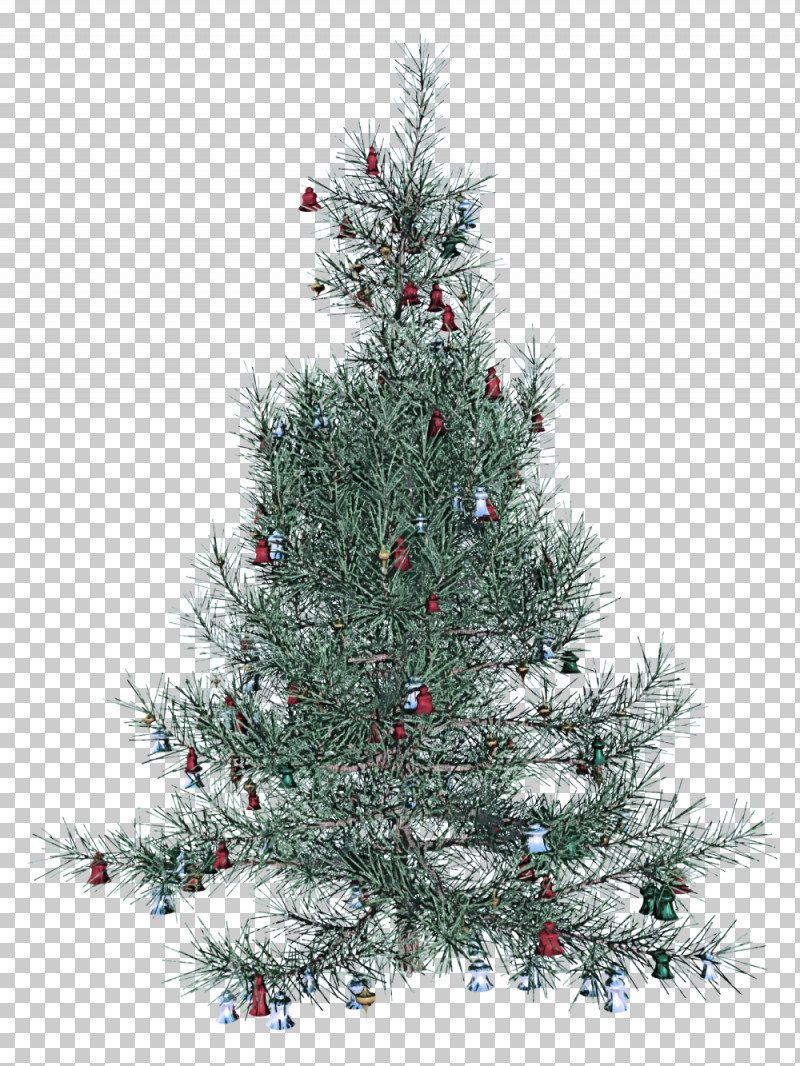 Christmas Tree PNG, Clipart, American Larch, Arizona Cypress, Balsam Fir, Branch, Canadian Fir Free PNG Download