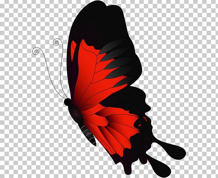 Butterfly Chroma Key Flight PNG, Clipart, Butterflies And Moths, Butterfly, Channel, Chroma Key, Clip Art Free PNG Download