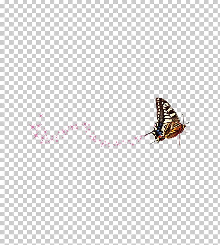 Butterfly Flower Pattern PNG, Clipart, Blue Butterfly, Butterflies, Butterfly, Butterfly Flower, Butterfly Group Free PNG Download