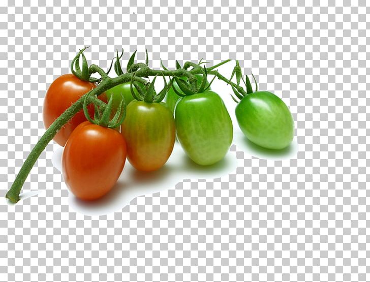 Cherry Tomato Vegetable Fruit Grape Tomato Plum Tomato PNG, Clipart, Bush Tomato, Cherry, Cherry Blossom, Cherry Blossoms, Cherry Tomatoes Free PNG Download
