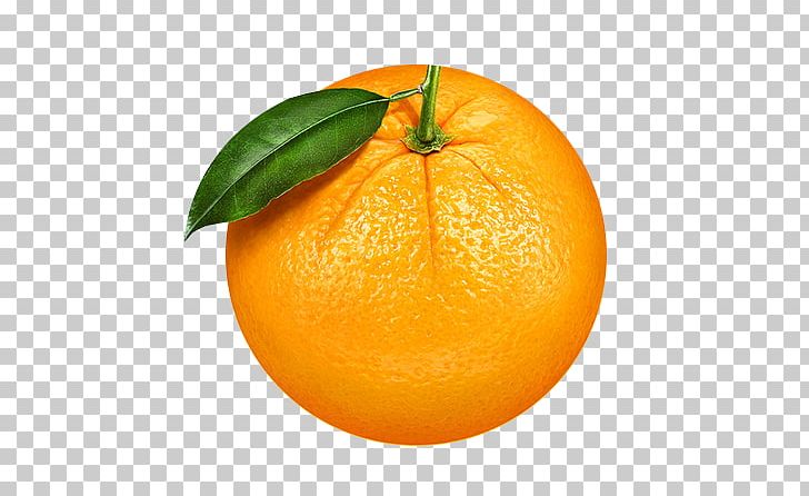Clementine Mandarin Orange Fruit PNG, Clipart, Auglis, Bitter Orange, Blood Orange, Citrus, Food Free PNG Download
