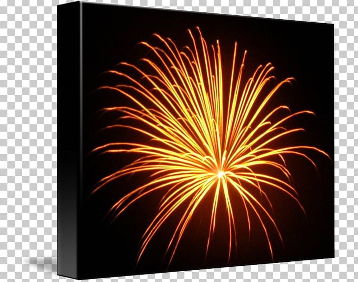 Fireworks PNG, Clipart, Event, Fireworks, Holidays Free PNG Download