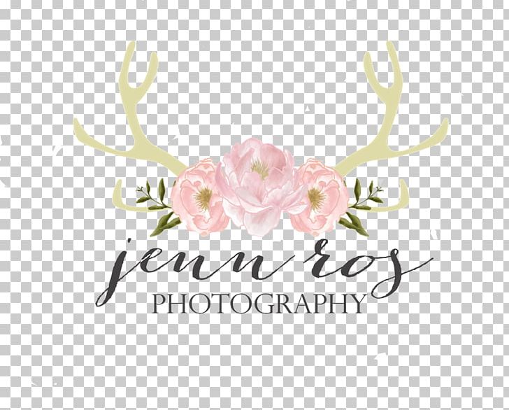 Floral Design Cut Flowers Rose Family Font PNG, Clipart, Antler, Art, Brand, Cut Flowers, Flora Free PNG Download