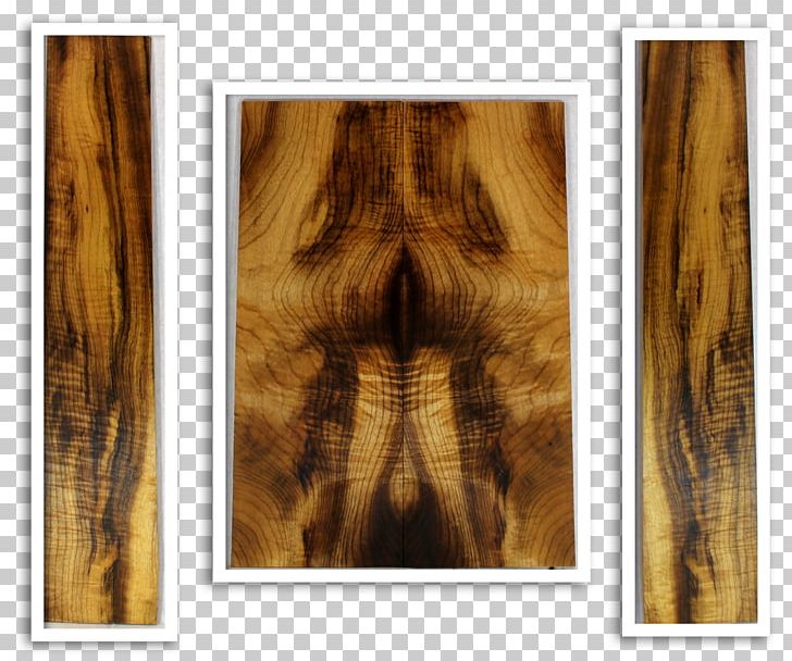 Wood Stain Frames /m/083vt PNG, Clipart, Back, Fur, M083vt, Myrtle, Nature Free PNG Download
