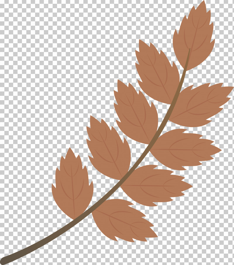 Fall Leaf Autumn Leaf PNG, Clipart, Autumn Leaf, Biology, Fall Leaf, Flower, Leaf Free PNG Download