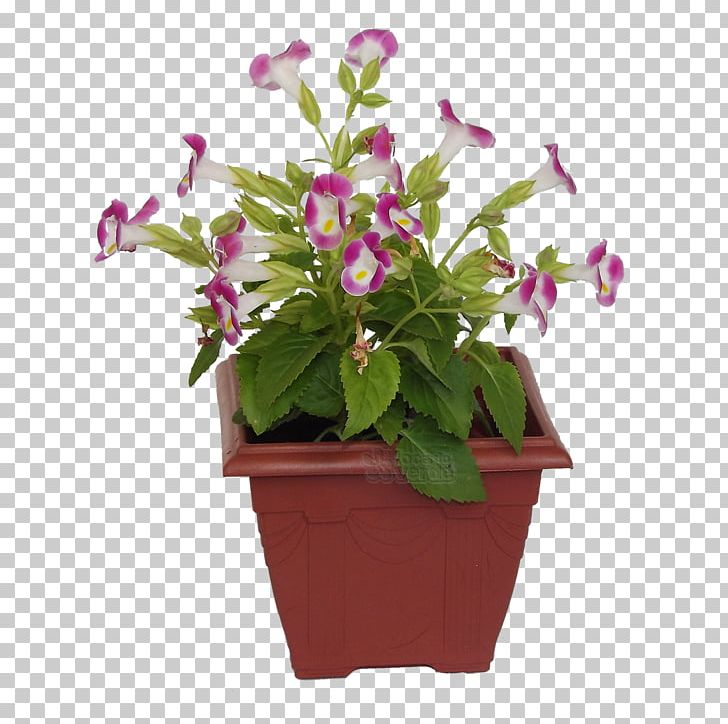 Ceramic Flowerpot Ornamental Plant Violet Color PNG, Clipart, Annual Plant, Centimeter, Ceramic, Color, Cut Flowers Free PNG Download