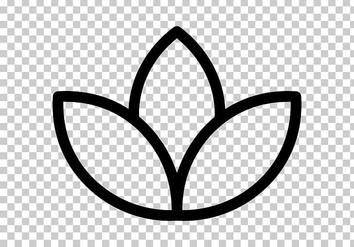 Lotus Sutra Nelumbo Nucifera Lotus Position Hinduism Buddhism PNG, Clipart, Area, Artwork, Black, Chakra, Leaf Free PNG Download