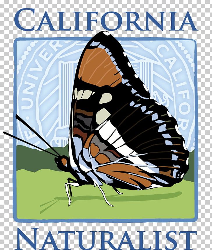 Monarch Butterfly California Naturalist PNG, Clipart, 2019, Arthropod, Brush Footed Butterfly, Butterfly, California Free PNG Download