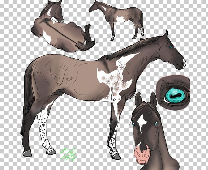 Mustang Stallion Mare Colt Foal PNG, Clipart, Animal Figure, Bit, Bridle, Colt, Foal Free PNG Download