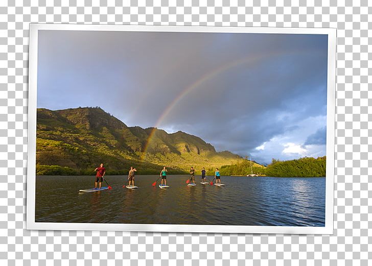 Standup Paddleboarding Kauai SUP Stand Up Paddle Courtyard By Marriott Kaua'i At Coconut Beach Surfing PNG, Clipart,  Free PNG Download