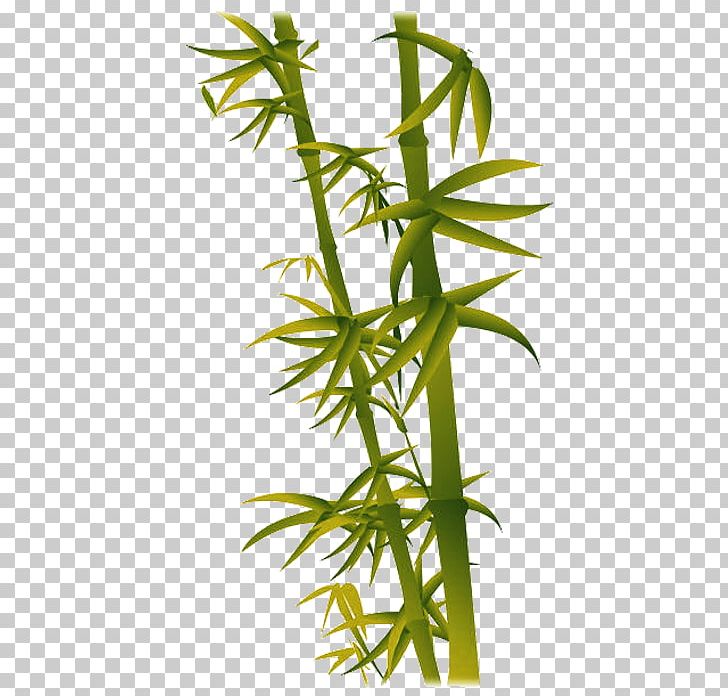 Bamboo If(we) Leaf PNG, Clipart, Bamboo, Bamboo Border, Bamboo Frame, Bamboo House, Bamboo Leaf Free PNG Download