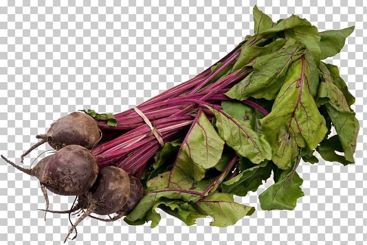 Sugar Beet Chard Beetroot Root Vegetables PNG, Clipart, Beet, Beetroot, Beta, Betanin, Chard Free PNG Download