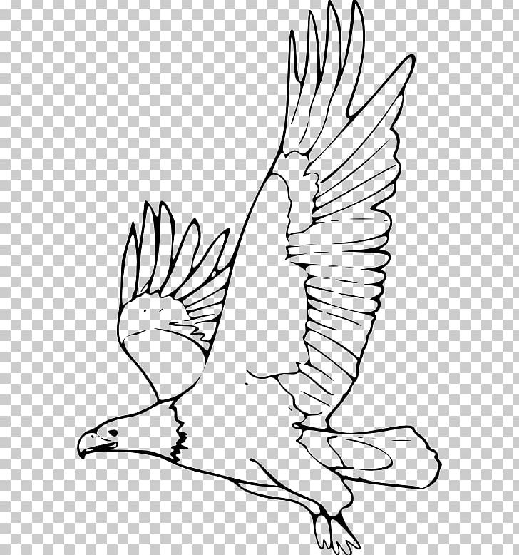 Bald Eagle Black-and-white Hawk-eagle Drawing PNG, Clipart, Animal, Animals, Arm, Art, Artwork Free PNG Download