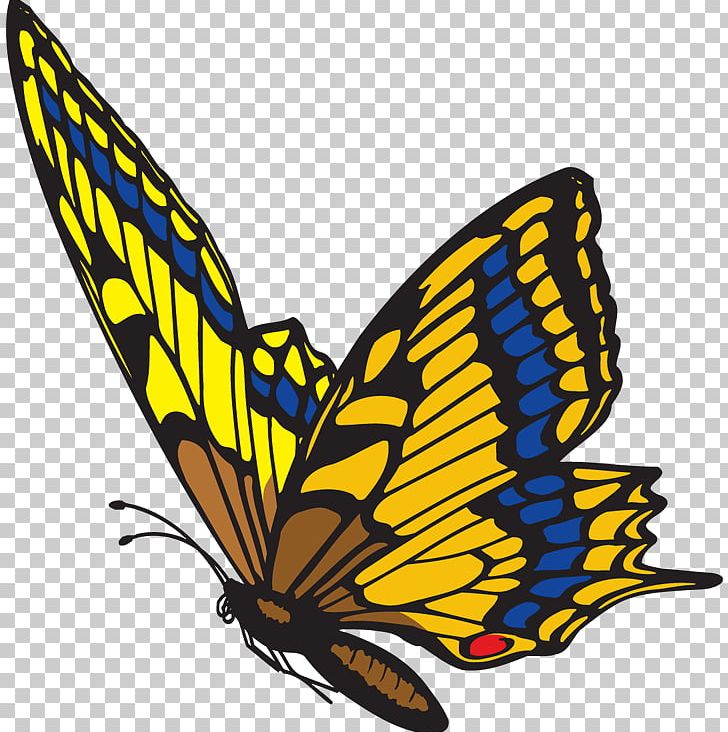 Butterfly Free Content PNG, Clipart, Arthropod, Blog, Brush Footed Butterfly, Butterfly, Color Free PNG Download