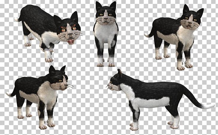 Spore Creatures Cat Spore Creature Creator Lapponian Herder PNG, Clipart, Animals, Border Collie, Carnivoran, Cat, Dog Free PNG Download