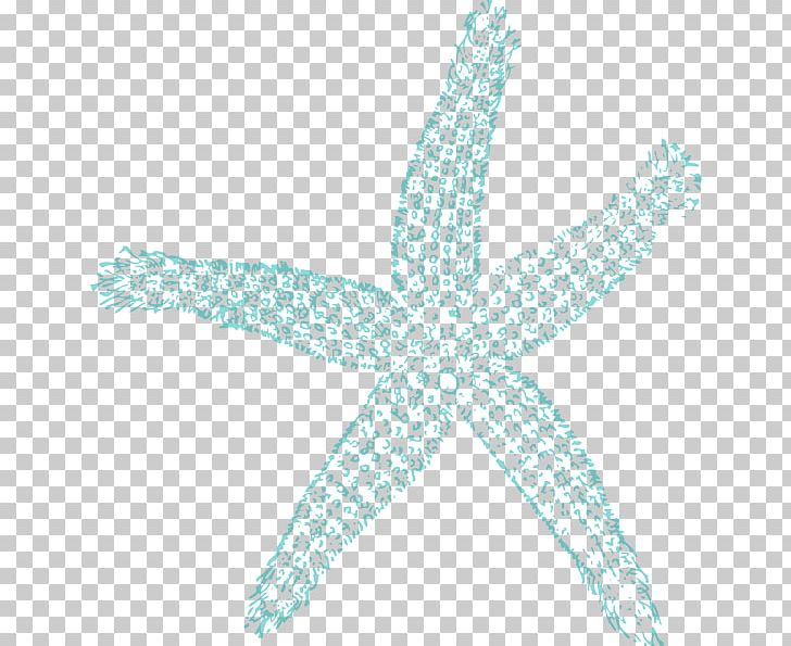 Starfish Turquoise Pattern PNG, Clipart, Aqua, Beach Cliparts Borders, Echinoderm, Fish, Line Free PNG Download