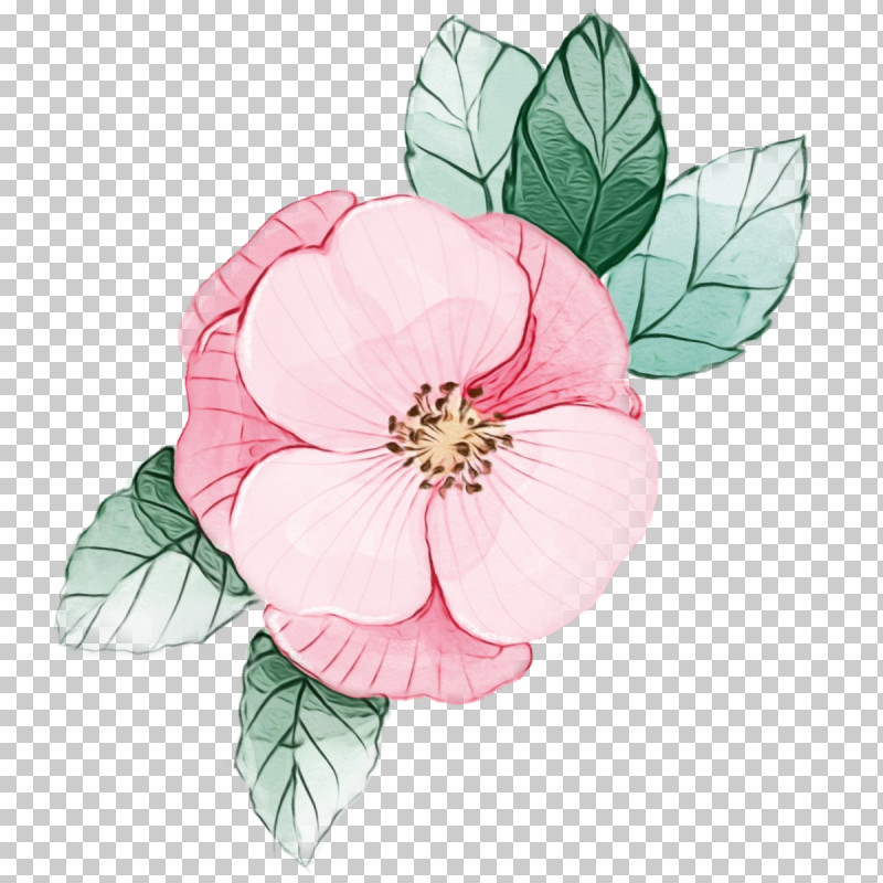 Rose PNG, Clipart, Floral, Flower, Paint, Petal, Pink Free PNG Download
