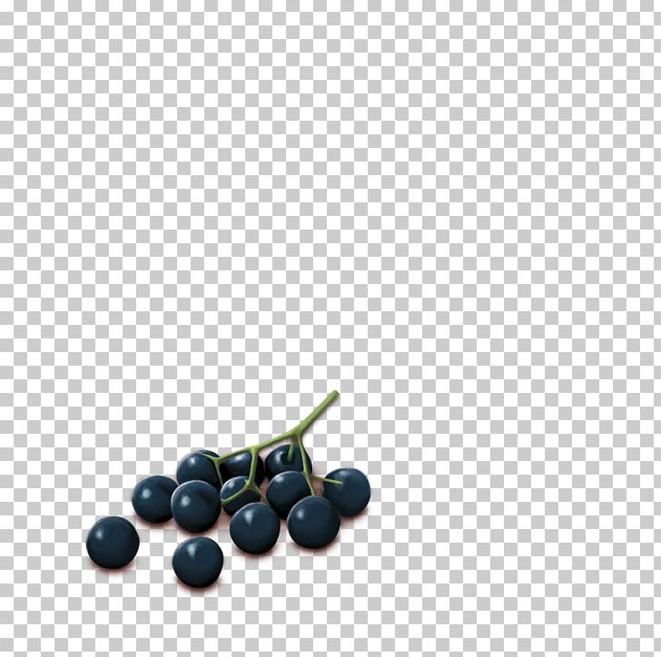 Bilberry Superfood PNG, Clipart, Berry, Bilberry, Food, Fruit, Others Free PNG Download
