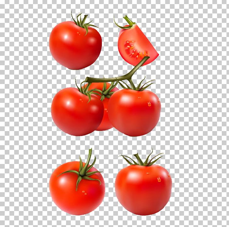 Tomato Vegetable PNG, Clipart, Cherry, Cherry Tomato, Delicious, Diet Food, Download Free PNG Download