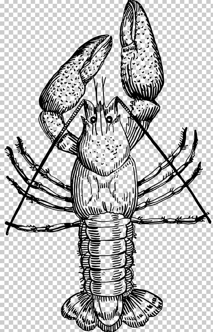 Crayfish Drawing Louisiana Crawfish PNG, Clipart, Art, Artwork, Black
