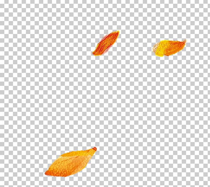 Leaf Sky Pattern PNG, Clipart, Autumn, Autumn Leaves, Banana Leaves, Defoliation, Fall Free PNG Download