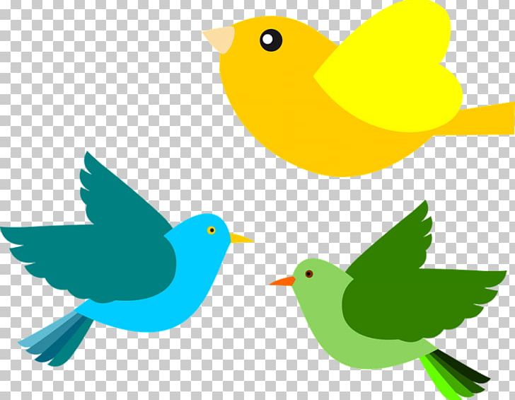 Bird PNG, Clipart, Animals, Beak, Bird, Bird Clipart, Bird Flight Free PNG Download