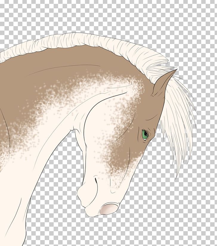 Mane Mustang Drawing Snout PNG, Clipart, Art Of Remember Me, Closeup, Drawing, Ear, Fictional Character Free PNG Download
