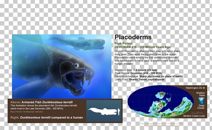 Marine Biology Brand Brochure PNG, Clipart, Advertising, Biology, Brand, Brochure, Dolphin Free PNG Download