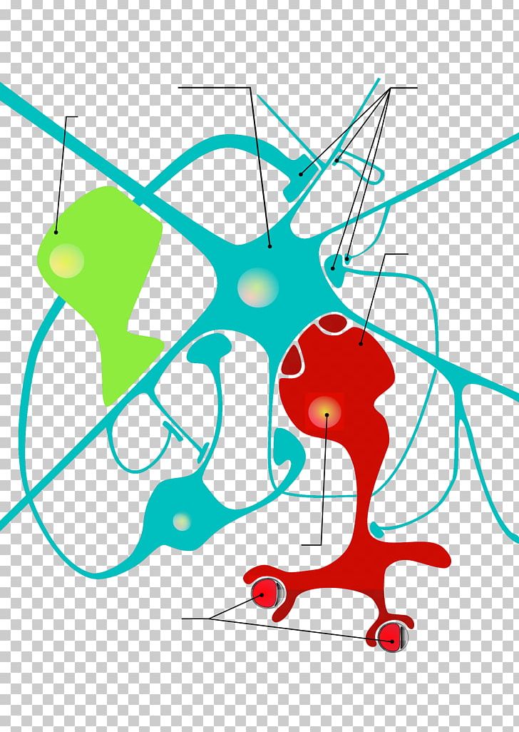 Neuroglia Neuron Astrocyte Cell PNG, Clipart,  Free PNG Download