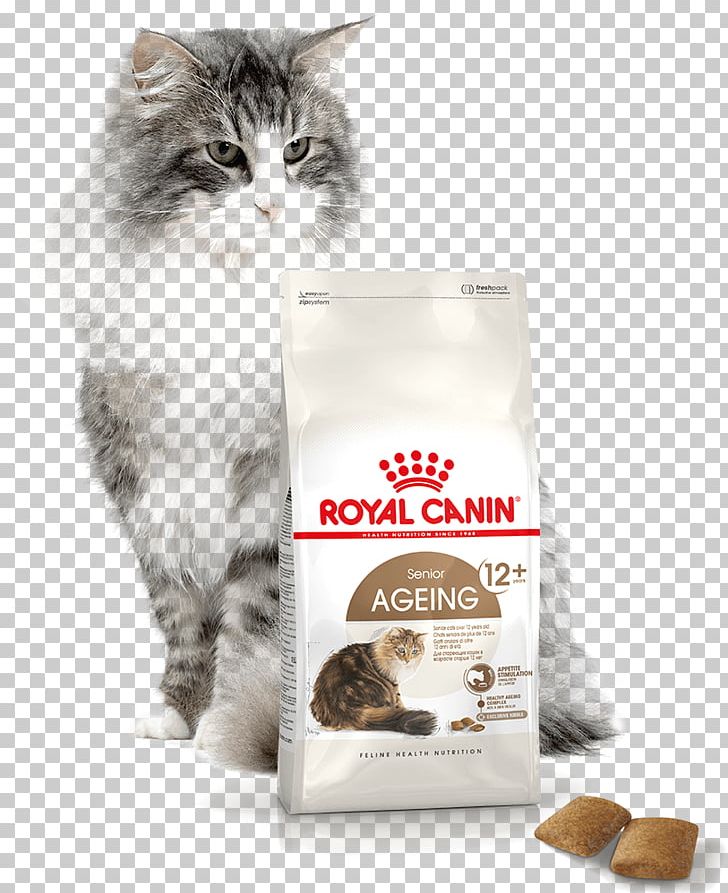 Cat Food Norwegian Forest Cat Persian Cat British Shorthair Maine Coon PNG, Clipart,  Free PNG Download