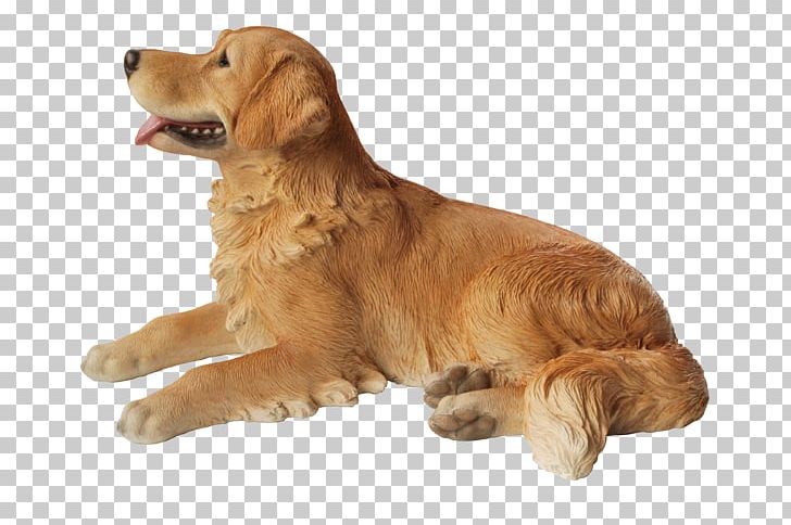 Golden Retriever Nova Scotia Duck Tolling Retriever Dog Breed Companion Dog PNG, Clipart, Animals, Breed, Carnivoran, Colony Of Nova Scotia, Companion Dog Free PNG Download