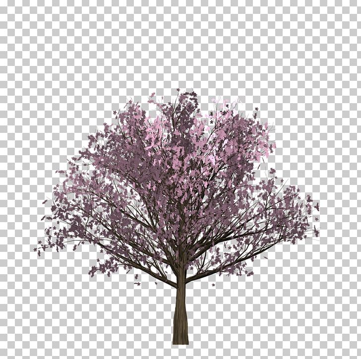 Graphics Stock Photography Euclidean PNG, Clipart, 1000000, Agac, Alamy, Blossom, Branch Free PNG Download