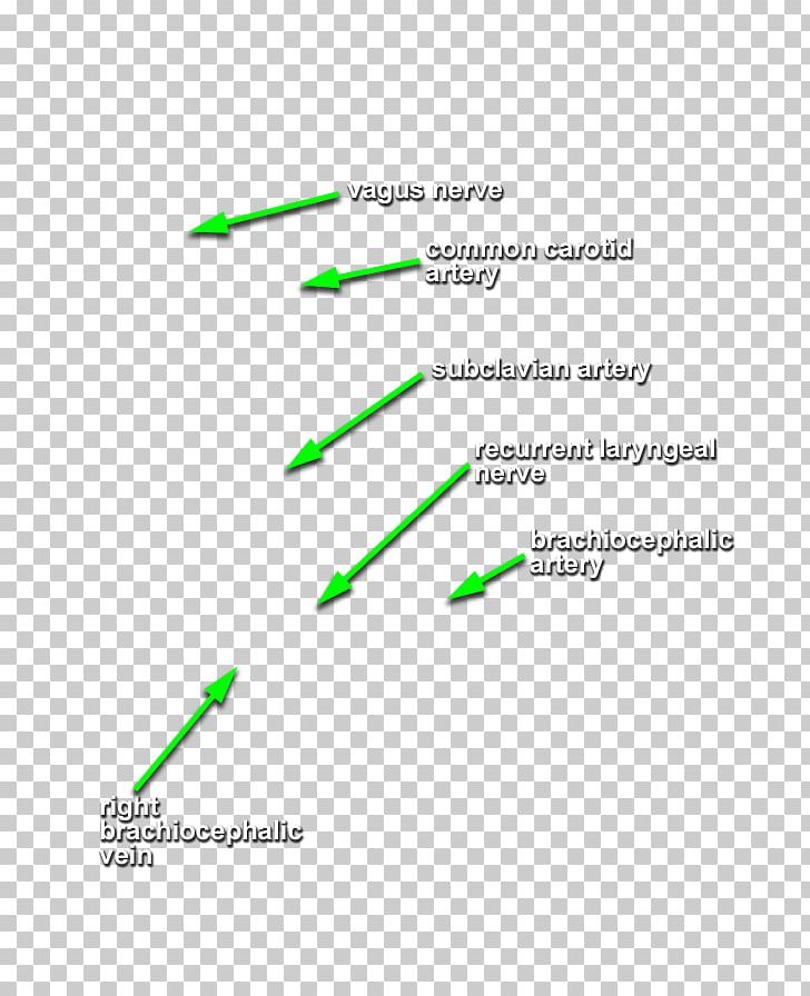 Line Diagram PNG, Clipart, Angle, Area, Art, Diagram, Green Free PNG Download