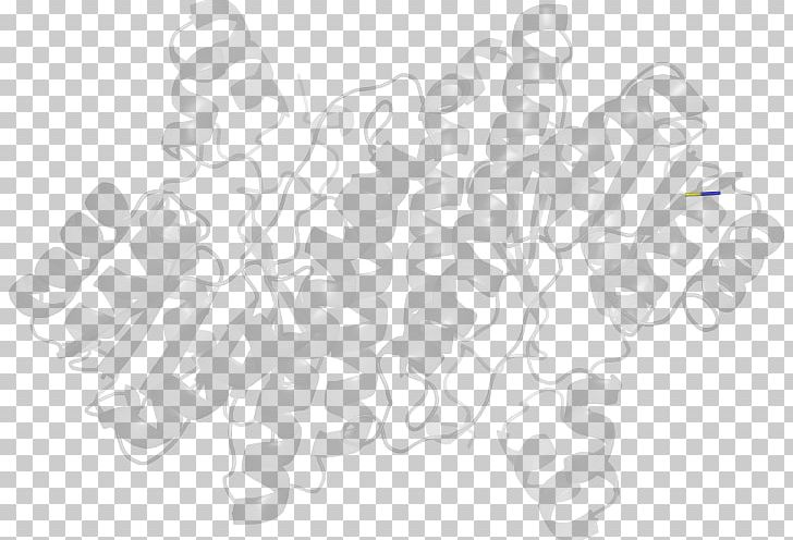 White Line PNG, Clipart, Angle, Art, Black And White, Endoribonuclease, Hand Free PNG Download