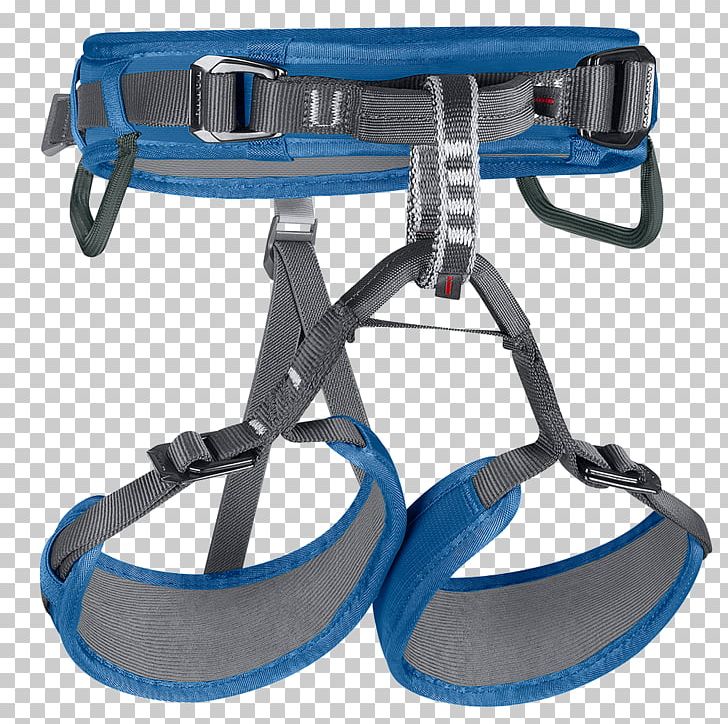 Climbing Harnesses Mammut Sports Group Child Harnais Clothing PNG, Clipart, Body Harness, Buckle, Child, Climbing, Climbing Harness Free PNG Download