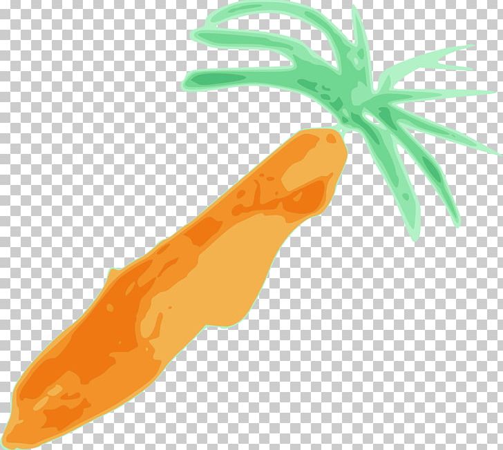 Carrot Blog PNG, Clipart, Baby Carrot, Blog, Carrot, Computer Icons, Food Free PNG Download