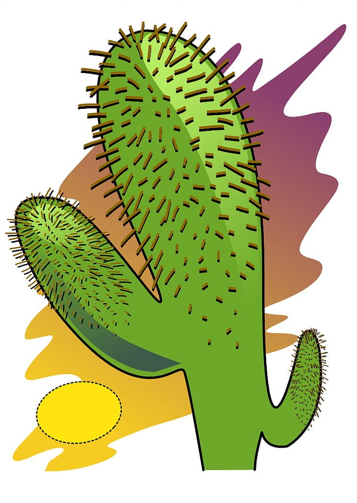 Desert Cactaceae Plant PNG, Clipart, Agave Deserti, Cactaceae, Cactus, Desert, Desert Ecology Free PNG Download