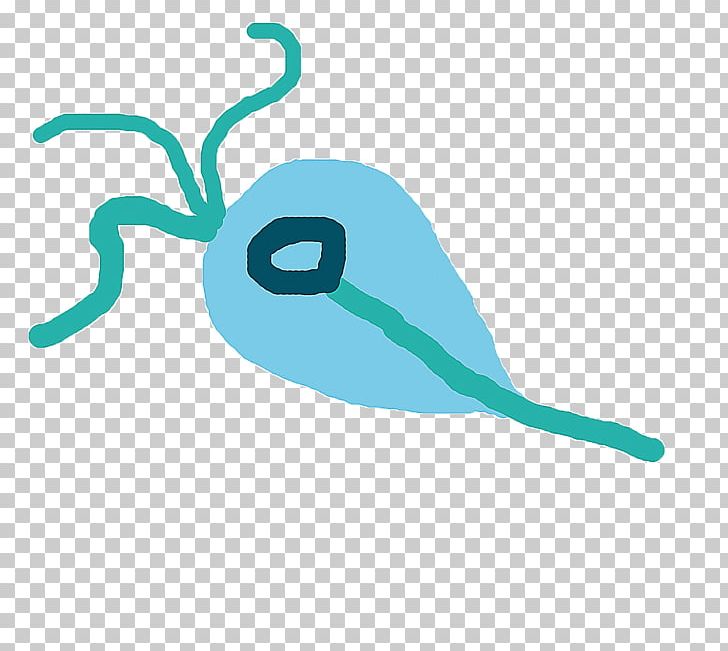 Line Turquoise PNG, Clipart, Aqua, Art, Artwork, Beak, Fish Free PNG Download